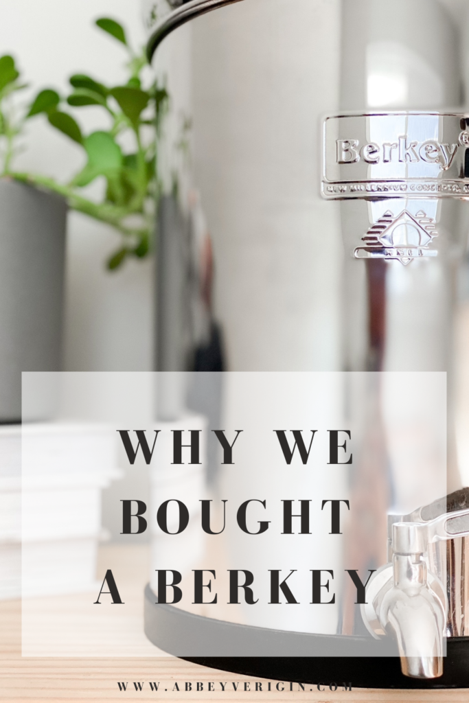 berkey pinterest graphic why we bought a berkey