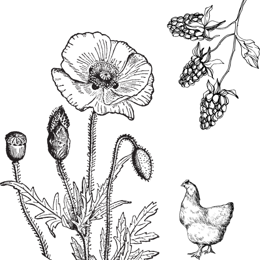 Abbey Verigin logo